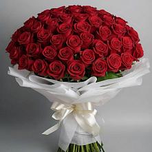 Букет 101 Красная роза Блэк Мэджик в Шкуринской