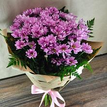Букет цветов из:  Хризантемы #REPLACE_PRED# Шкуринской