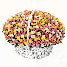 Премиум букет из: Розы #REPLACE_PRED# Шкуринской