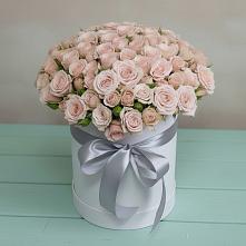 Цветочная композиция из Розы в шляпной коробке #REPLACE_PRED# Шкуринской