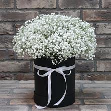 Цветочная композиция из Гипсофила в шляпной коробке в Шкуринской