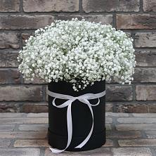 Цветочная композиция из Гипсофила в шляпной коробке в Шкуринской