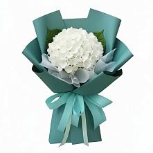 Букет цветов из:  Гортензия #REPLACE_PRED# Шкуринской